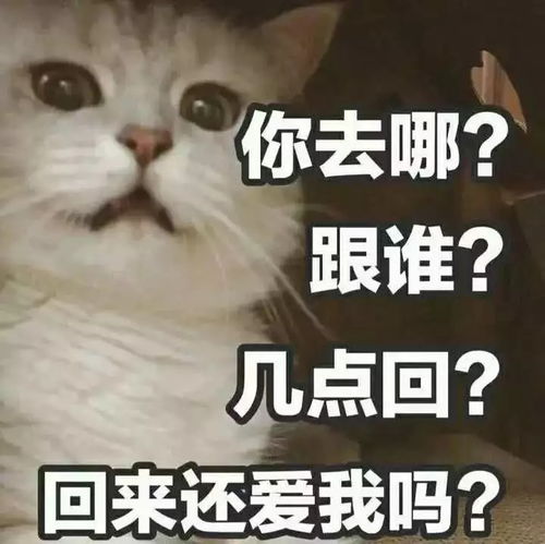  有哪些适合发说说的沙雕句子