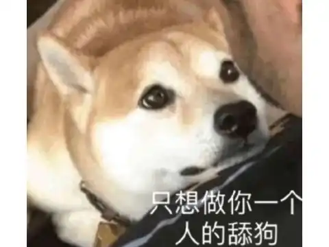 舔爷表情包又又