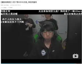  血流成河的wesg,再次浅谈中韩欧美的电竞人口差距,欧美部分星际篇