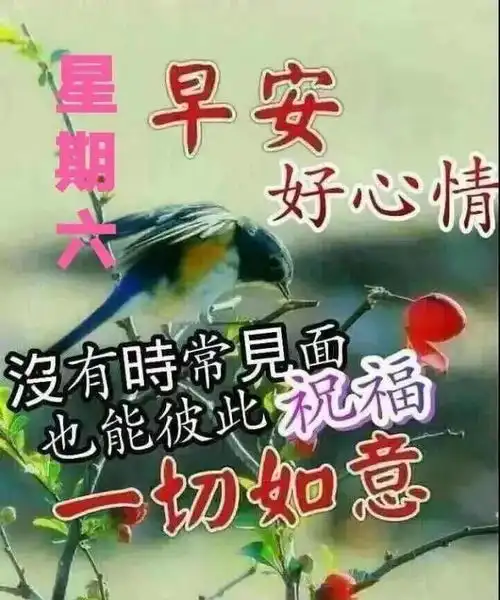  不用打字就可以聊天的图片
