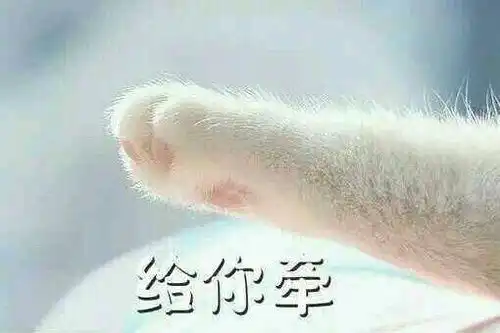  和傲娇国防生男朋友的日常