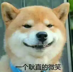  柴犬真的会笑吗眯眼笑表情,内心却不一定开心