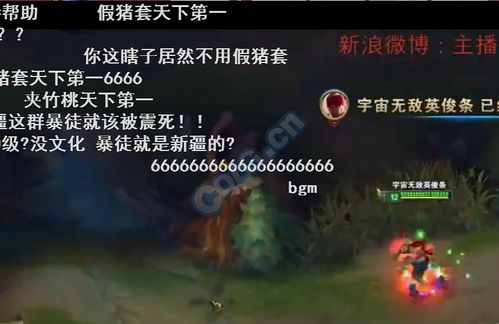  dnf假猪套天下第一表情dnf假猪套天下第一表情包快吧游戏