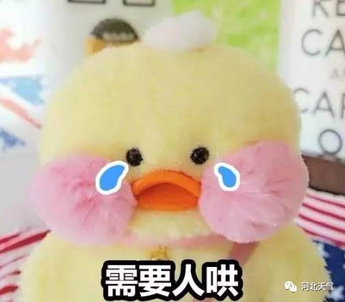 对不起鸭的表情包洗脚