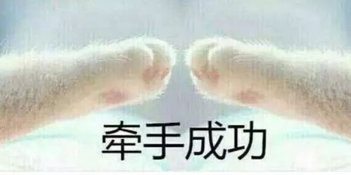  求求你了,不要再问安阳人这些问题了