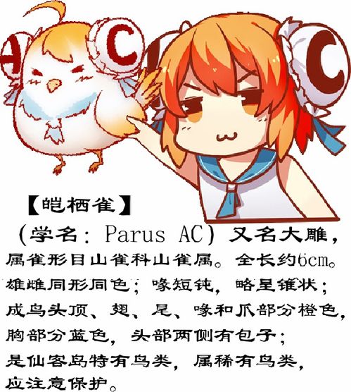  表情ac娘又是一年份的表情包二次创作acfun弹幕视频网认真...表情