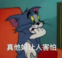  沙雕小说的迷惑剧情,哈哈哈哈哈哈笑到磕头