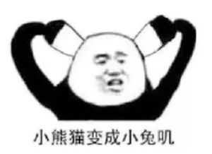 尔康熊猫头表情包吃惊