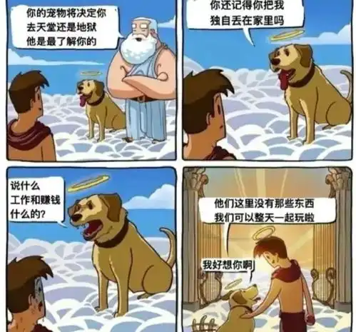  高手过招,招招致命