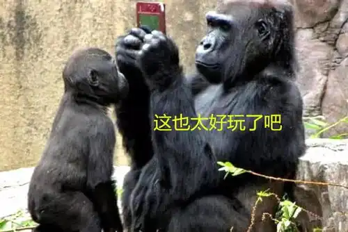  人类是万物之灵在这两大奥秘面前我们就是会使用手机的猩猩