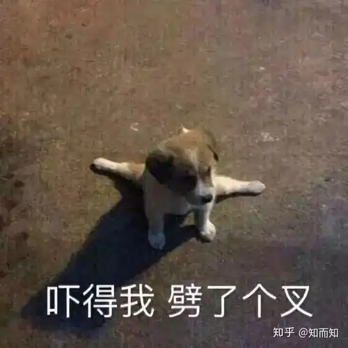  能分享一下叨叨记账中好的表情包和回复内容吗