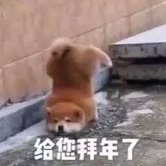  果然,老师不是谁都能随便当的,你们都是人才啊