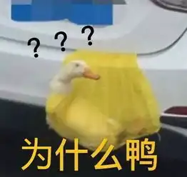 大牛凭什么pk掉老司机成为吹彩虹屁的绝杀金句