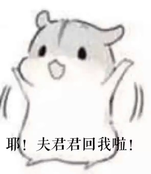  仓鼠夫妻
