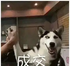  黄金瞳未完待续最后的结局到底是几个意思