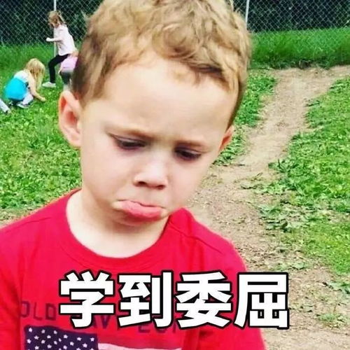  我贸期末专用表情包