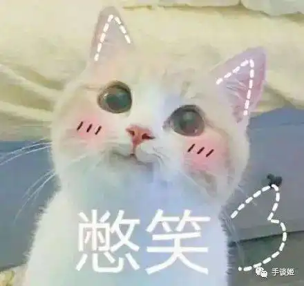狗头表情包原型猫咪