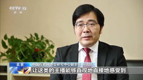  法治在线丨自以为流量密码网络博主靠辱骂引流被判刑