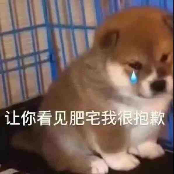  表情包让你看见肥宅我很抱歉