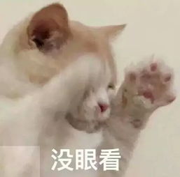 我和老妈在泰国看表演,这无处安放的尴尬,回想起来还是难受