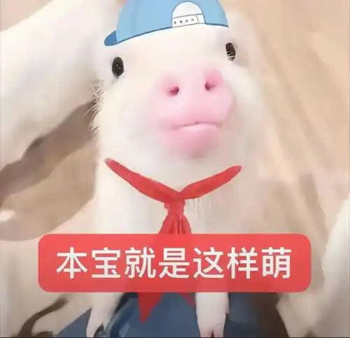  大学生用表情包听我说谢谢你