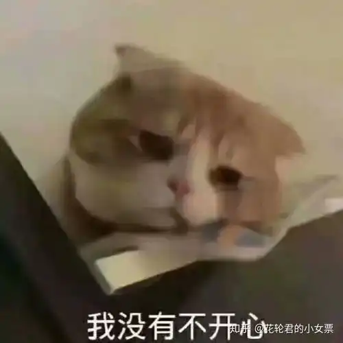 在线表情包沙雕岩浆