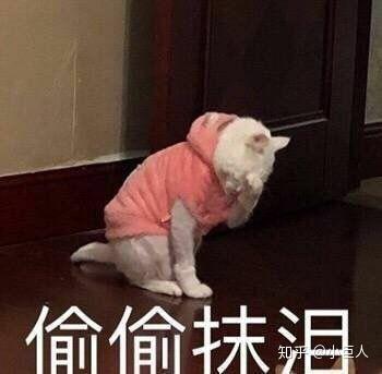  流泪的表情包是怎么样