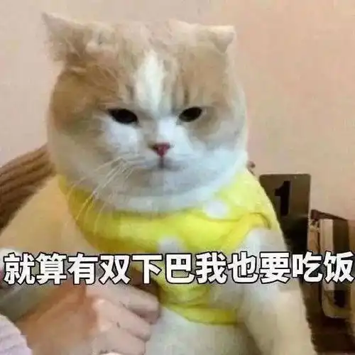  表情包今日份斗图源