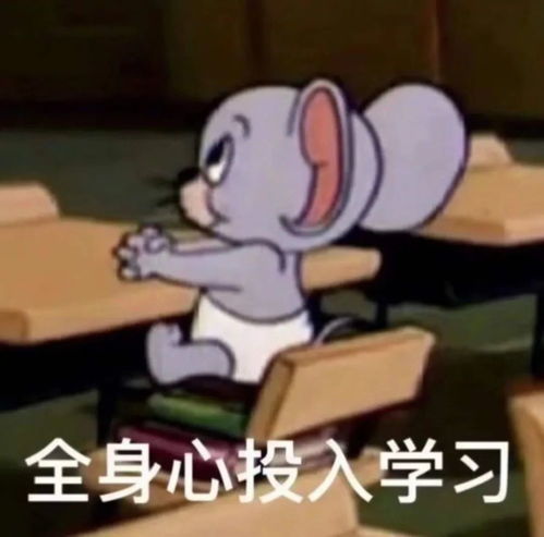  大学生该如何缓解期末压力