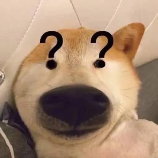 狗头相机表情包