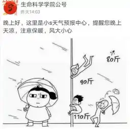 风中凌乱表情包图片台风