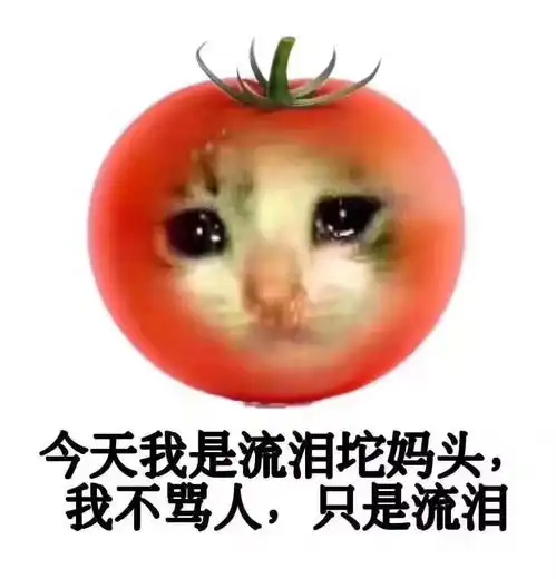 流泪猫流泪狗表情包今天我是流泪狗狗头,不谈悲伤,只拉肖邦  流泪猫流泪狗表情包今天我是流泪狗狗头,不谈悲伤,只拉肖邦