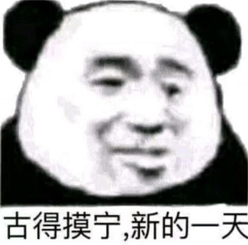 熊猫修仙表情包等级小熊