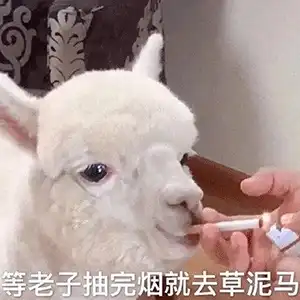  表情包难搞哦