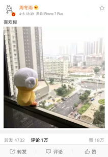  周冬雨多次发文喜欢你和赵丽颖深夜斗图