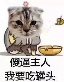  你用你家猫做过什么沙雕表情包猫圈话题