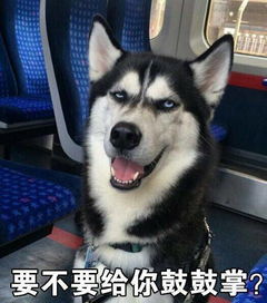  染粉色头发是种怎样的体验