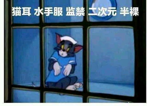 恰柠檬表情包gif猫和老