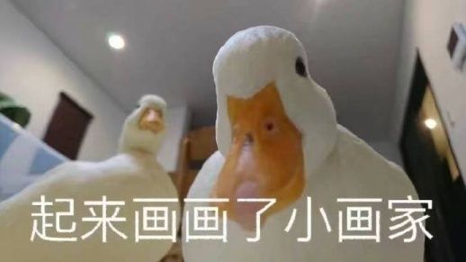对不起鸭的表情包早上好