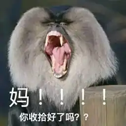  极客基地什么这个长得像洞洞鞋的东西,居然是个文具盒