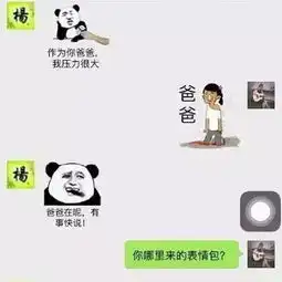 丽丽表情包聊天记录