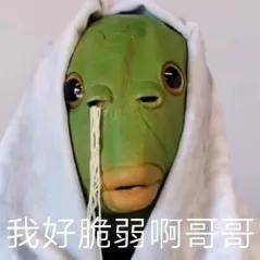  绿鱼头套沙雕表情包,耶比耶比耶