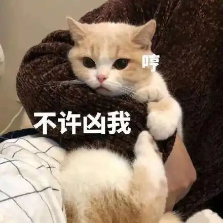  小可爱专用表情包睡捉了,阔以亲窝了