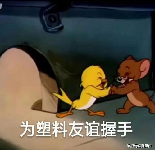  常用表情包图片知道了,闭嘴鸭,你爬开