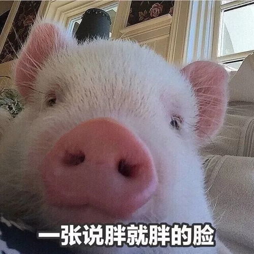  看图这大概就是放假的意义吧