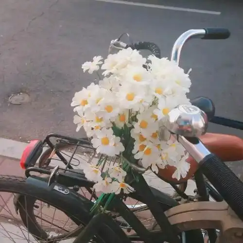  不知我的苦,就别劝我大度