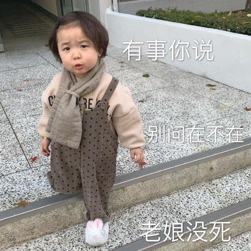  热门表情包图片我现在道歉,还来得及吗