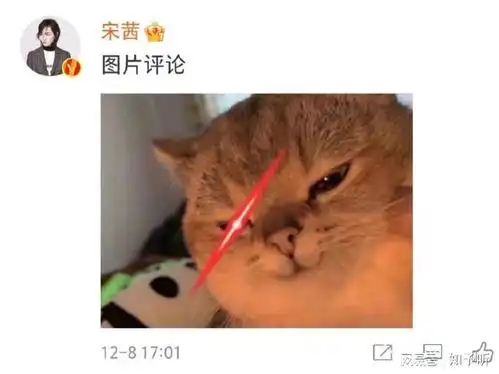  谁是凶手向宋茜道歉,难道道歉也是只有1次,和n次的区别