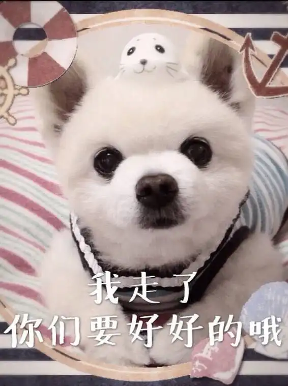 狗头表情包原型伤心