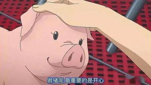  练着练着就崩溃了到底成功有多难老没自觉性的进来看运动